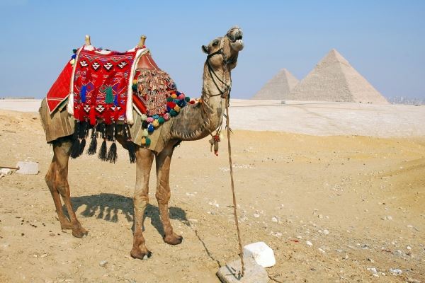 Египет ожидает десятки тысяч российских туристов